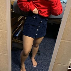 Velvet Urban Outfitters BDG Skirt